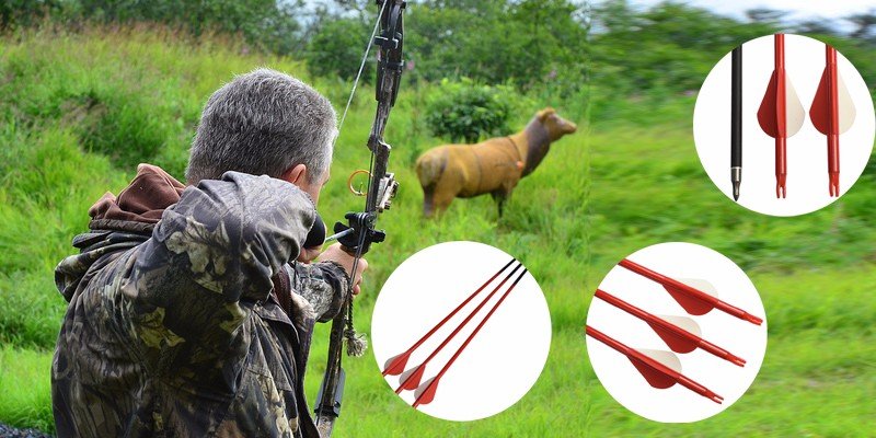 archery equipment, hunting arrows