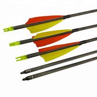 High Quality 30''-34'' Pure Carbon Arrow for Arrows Hunting